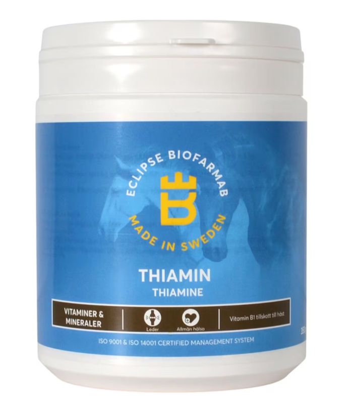Eclipse Biofarmab Thiamin 300g