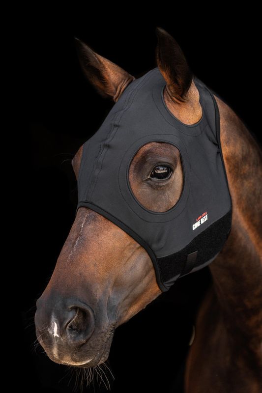 Lami‑Cell Titanium Mask