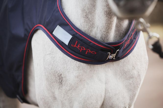 Hovedbilde Lippo Basic Walker dekken 100g 