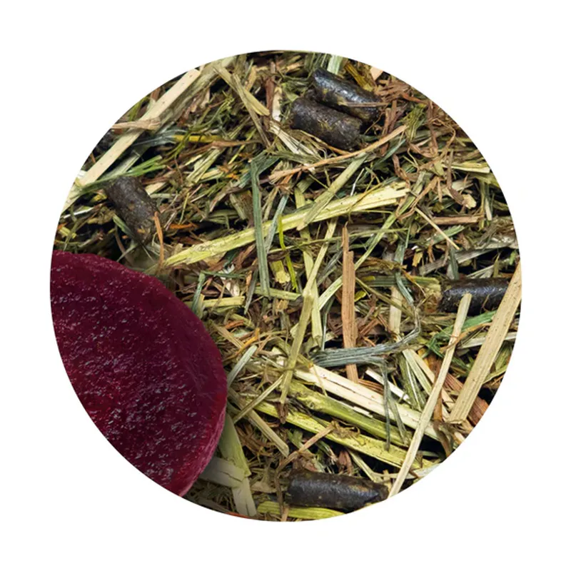 Hartog Senior Lucerne - 15 kg