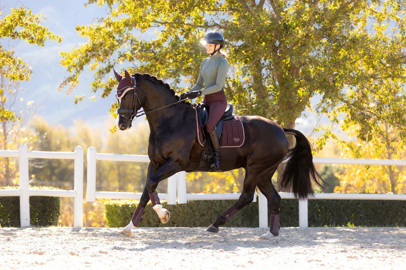 LeMieux Loire Classic Dressage Square Damson