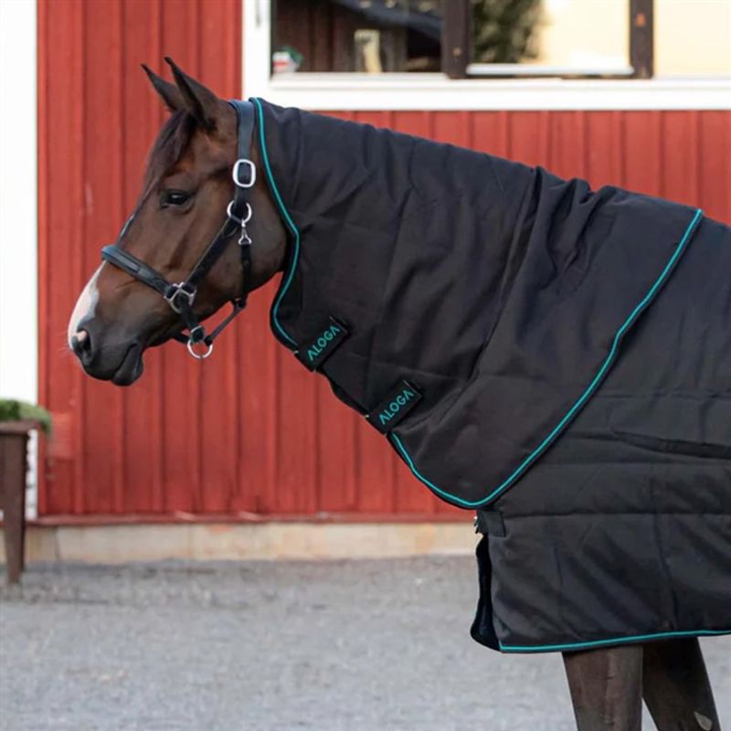 Aloga Pro Stable Hood 150g