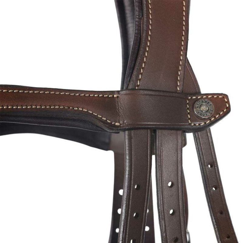 Antarès Origin Figure 8 Bridle