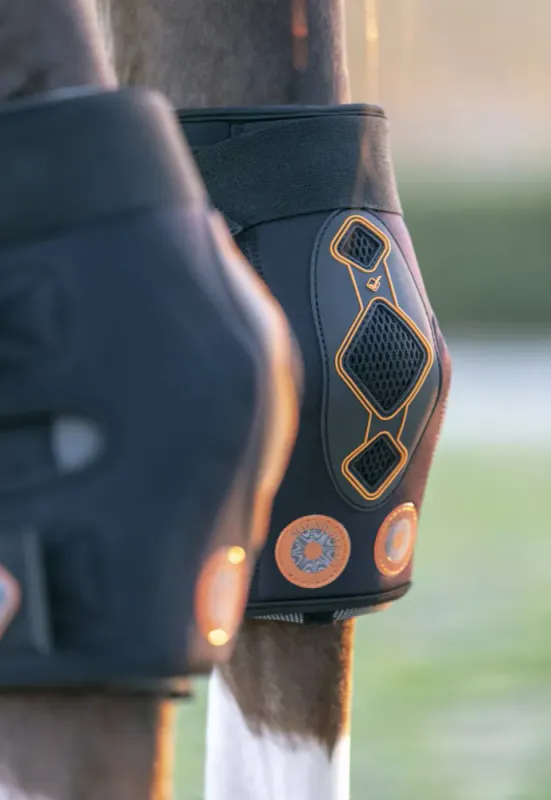  LeMieux Magno Hock Boot (til hasen)