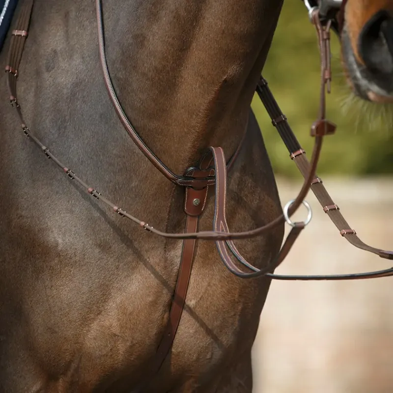 Antarès Running martingale