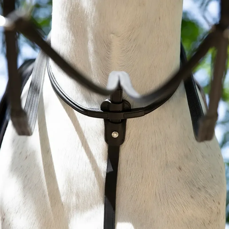 Antarès Running martingale