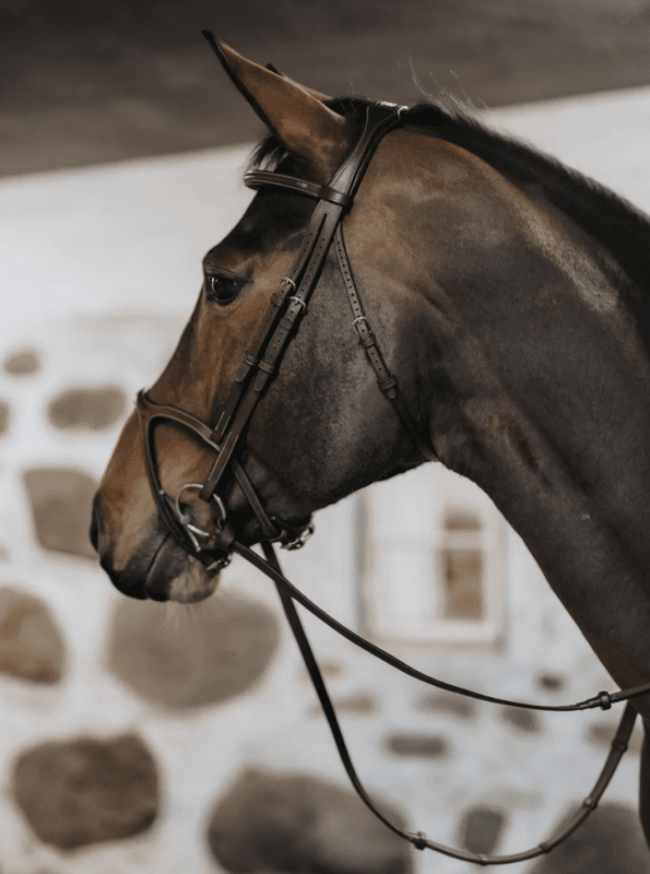 BHOOF BRIDLE 2 Y-FIT