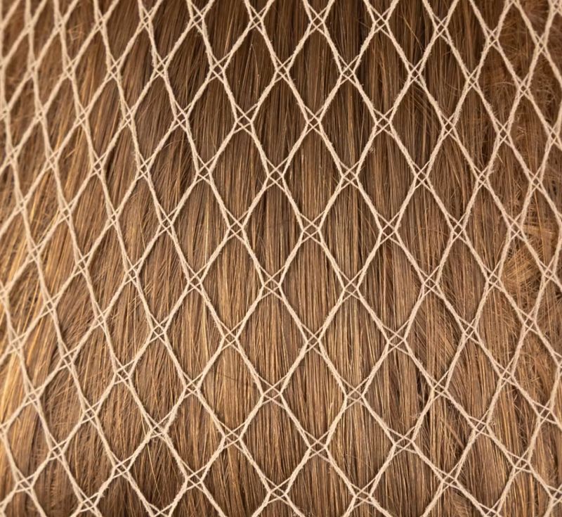 Kentucky Hairnet