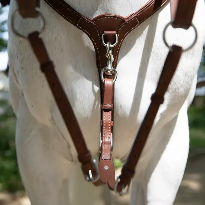 Antarès Origin running martingale attachment