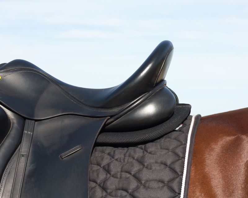 1 Layer Saddle Pad