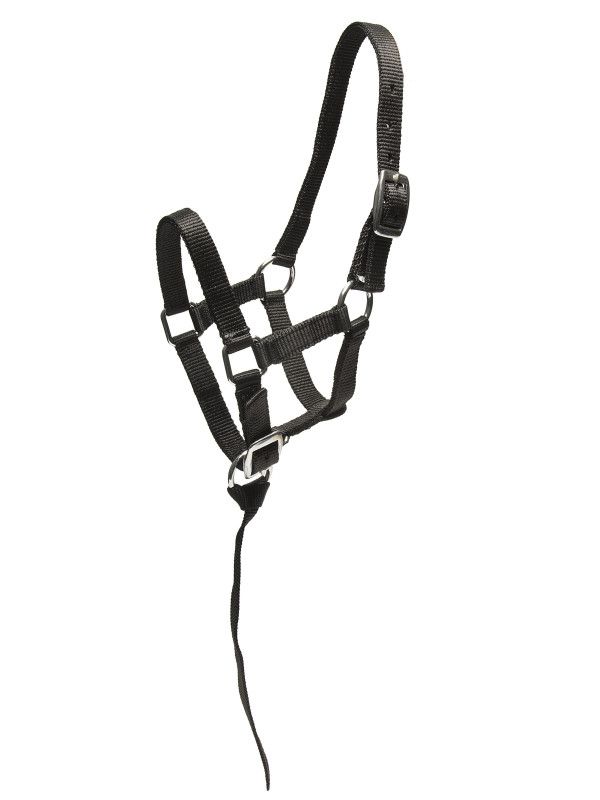 Wahlsten Nylon Føllgrime