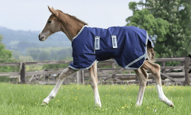 Hovedbilde Bucas Følldekken 50g