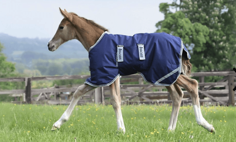 Bucas Følldekken 50g