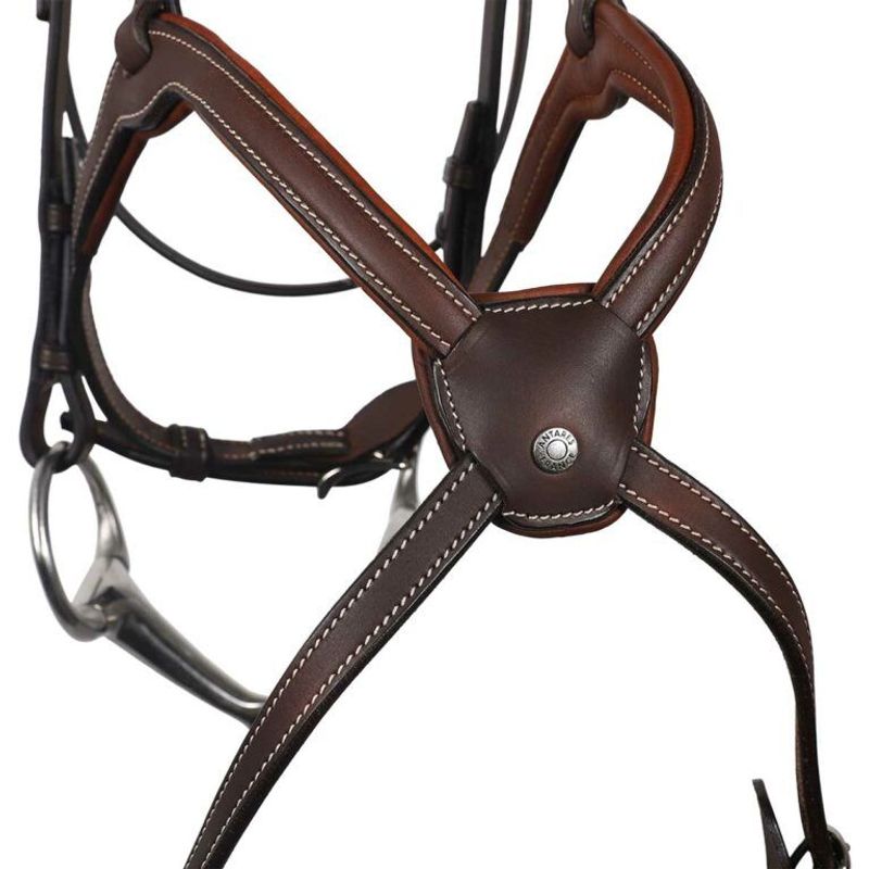 Antarès Origin Figure 8 Bridle