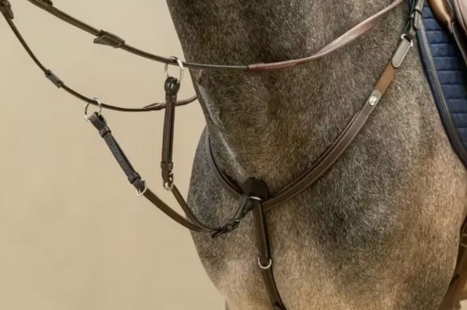Hovedbilde Dyon Running Martingale Attachment