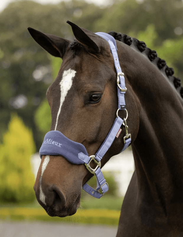 LeMieux SS26 Vogue Grime & Leietau