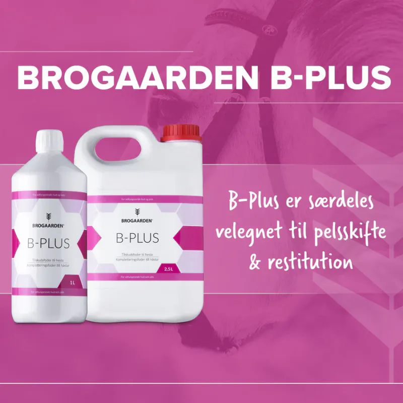 Brogaarden B-Plus
