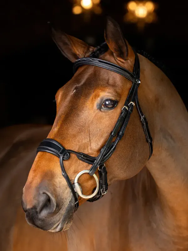 LeMieux Kudos Clear Arc Bridle Black/Silver