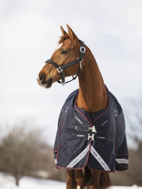 Hovedbilde LeMieux Kudos Turnout Rug 100g