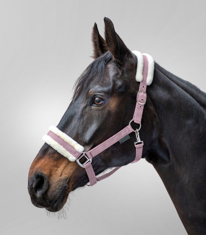 Waldhausen First Grime